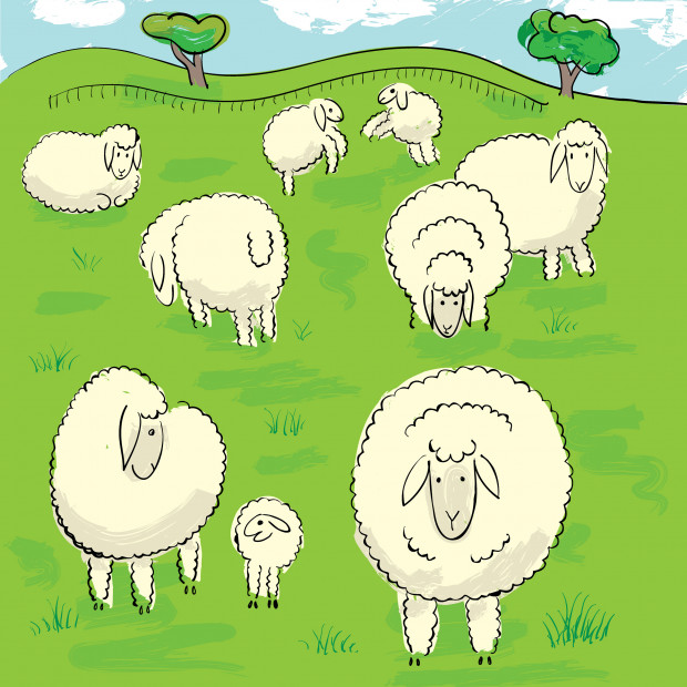 Sheeps on the meadow. Vector illustration